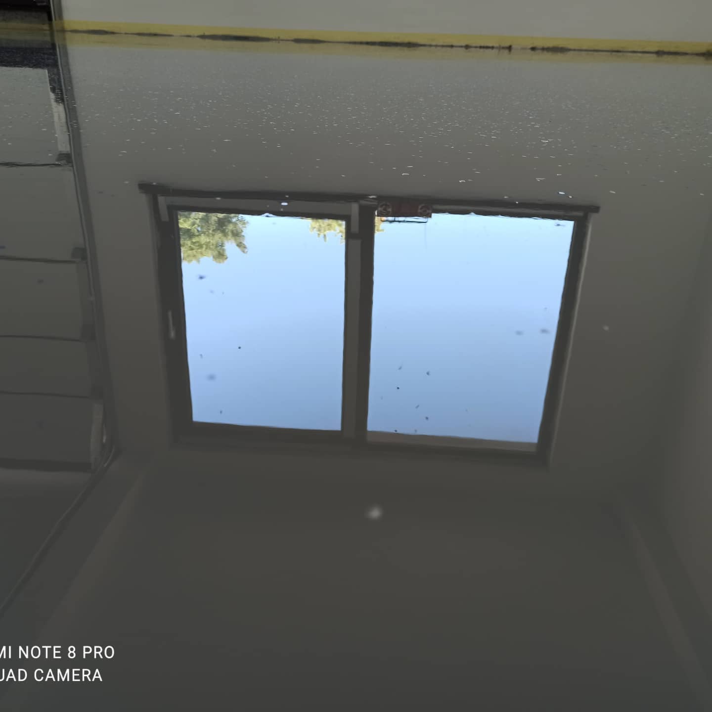 232162425_190378363124083_2364968593720835818_n